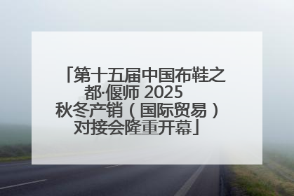 第十五届中国布鞋之都·偃师 2025 秋冬产销（国际贸易）对接会隆重开幕