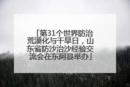 第31个世界防治荒漠化与干旱日，山东省防沙治沙经验交流会在东阿县举办