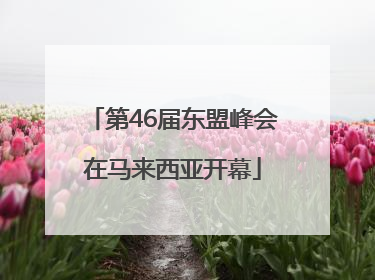 第46届东盟峰会在马来西亚开幕