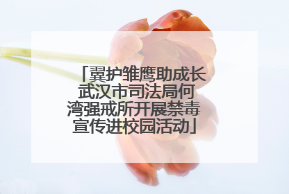 翼护雏鹰助成长 武汉市司法局何湾强戒所开展禁毒宣传进校园活动