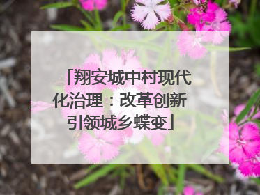 翔安城中村现代化治理：改革创新引领城乡蝶变