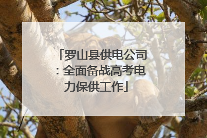 罗山县供电公司：全面备战高考电力保供工作