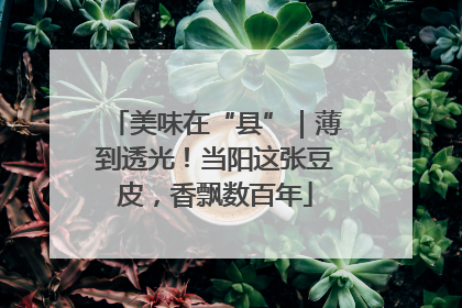美味在“县”｜薄到透光！当阳这张豆皮，香飘数百年