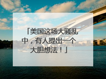 美国这场大骚乱中，有人提出一个大胆想法！