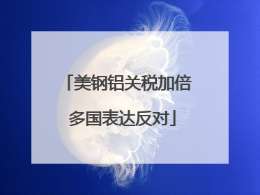 美钢铝关税加倍 多国表达反对