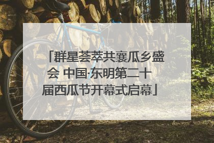 群星荟萃共襄瓜乡盛会 中国·东明第二十届西瓜节开幕式启幕