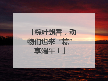 粽叶飘香，动物们也来“粽”享端午！