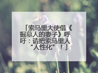 索马里大使借《掘墓人的妻子》呼吁：请把索马里人“人性化”！