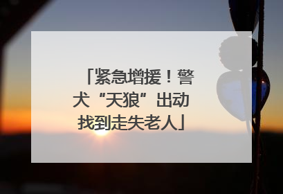 紧急增援！警犬“天狼”出动找到走失老人