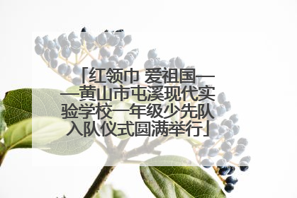 红领巾 爱祖国——黄山市屯溪现代实验学校一年级少先队入队仪式圆满举行