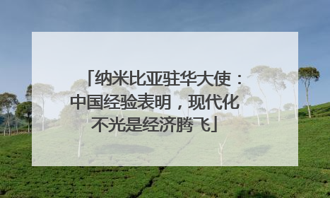 纳米比亚驻华大使：中国经验表明，现代化不光是经济腾飞