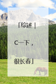 综述｜C一下，很长春