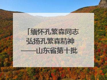 缅怀孔繁森同志 弘扬孔繁森精神——山东省第十批援藏干部人才清明节前到岗巴县开展党性教育