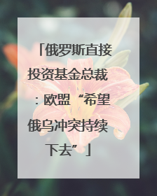 俄罗斯直接投资基金总裁：欧盟“希望俄乌冲突持续下去”