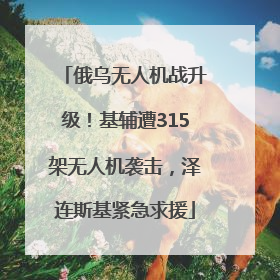 俄乌无人机战升级！基辅遭315架无人机袭击，泽连斯基紧急求援