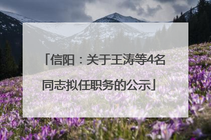 信阳：关于王涛等4名同志拟任职务的公示