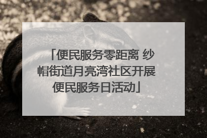 便民服务零距离 纱帽街道月亮湾社区开展便民服务日活动