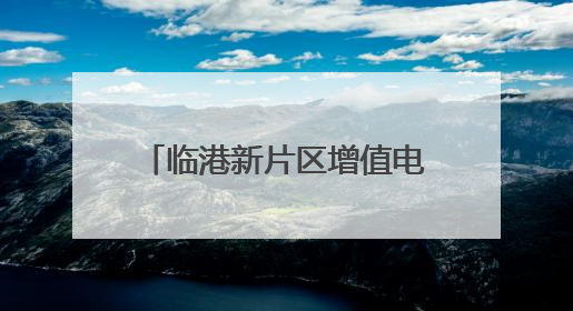 临港新片区增值电信开放第二批试点企业授牌：新增高济健康、科戈波特两家