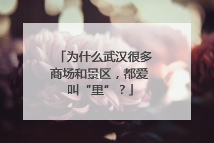 为什么武汉很多商场和景区，都爱叫“里”？