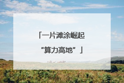 一片滩涂崛起“算力高地”
