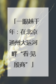 一眼越千年：在北京通州大运河畔“看·见殷商”