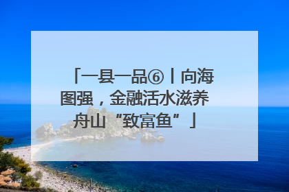 一县一品⑥丨向海图强，金融活水滋养舟山“致富鱼”