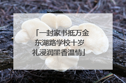 一封家书抵万金 东湖路学校十岁礼浸润墨香温情