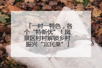 一村一特色，各个“特新优”！凤泉区村村解锁乡村振兴“富民果”