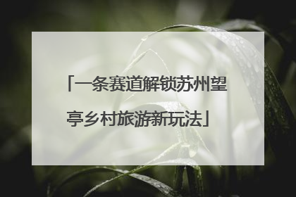 一条赛道解锁苏州望亭乡村旅游新玩法