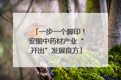 一步一个脚印！安图中药材产业“开出”发展良方