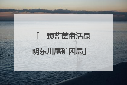 一颗蓝莓盘活昆明东川尾矿困局