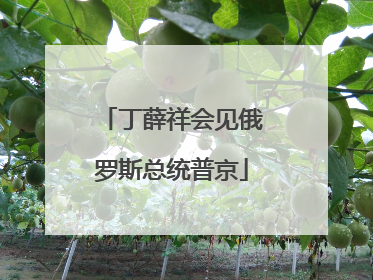 丁薛祥会见俄罗斯总统普京