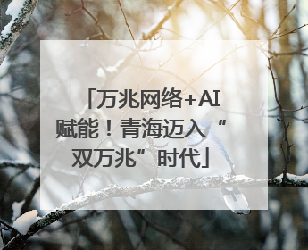 万兆网络+AI赋能！青海迈入“双万兆”时代
