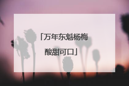 万年东魁杨梅 酸甜可口