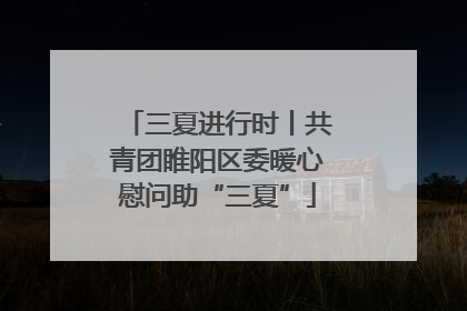 三夏进行时丨共青团睢阳区委暖心慰问助“三夏”