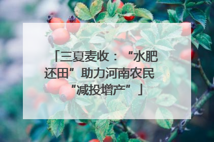 三夏麦收：“水肥还田”助力河南农民“减投增产”