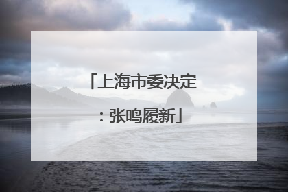 上海市委决定：张鸣履新