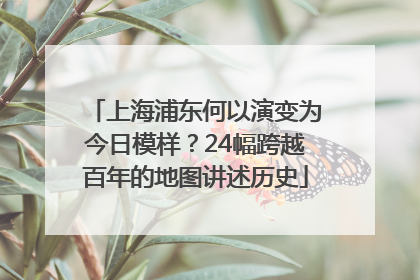 上海浦东何以演变为今日模样？24幅跨越百年的地图讲述历史
