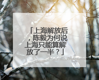 上海解放后，陈毅为何说上海只能算解放了一半？