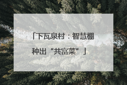 下瓦泉村：智慧棚种出“共富菜”
