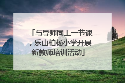 与导师同上一节课，乐山柏杨小学开展新教师培训活动