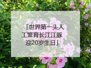 世界第一头人工繁育长江江豚迎20岁生日