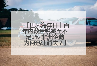世界海洋日丨百年内数量锐减至不足1% 非洲企鹅为何迅速消失？