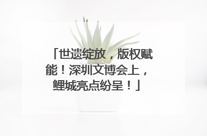 世遗绽放，版权赋能！深圳文博会上，鲤城亮点纷呈！