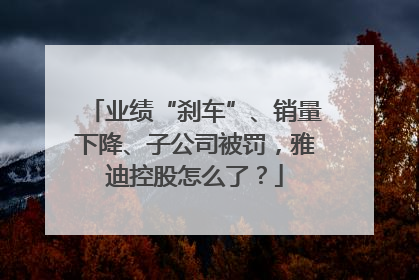 业绩“刹车”、销量下降、子公司被罚，雅迪控股怎么了？