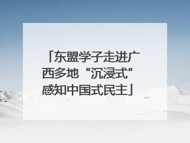 东盟学子走进广西多地“沉浸式”感知中国式民主