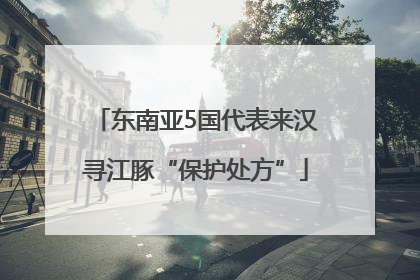东南亚5国代表来汉寻江豚“保护处方”