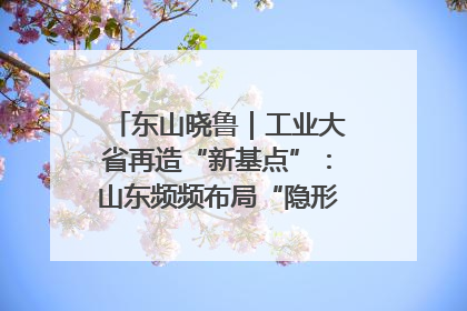 东山晓鲁｜工业大省再造“新基点”：山东频频布局“隐形冠军”背后