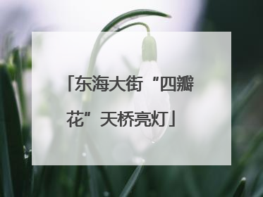 东海大街“四瓣花”天桥亮灯