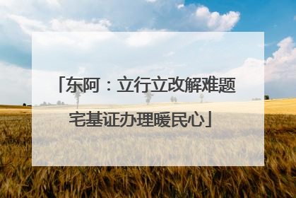 东阿：立行立改解难题 宅基证办理暖民心